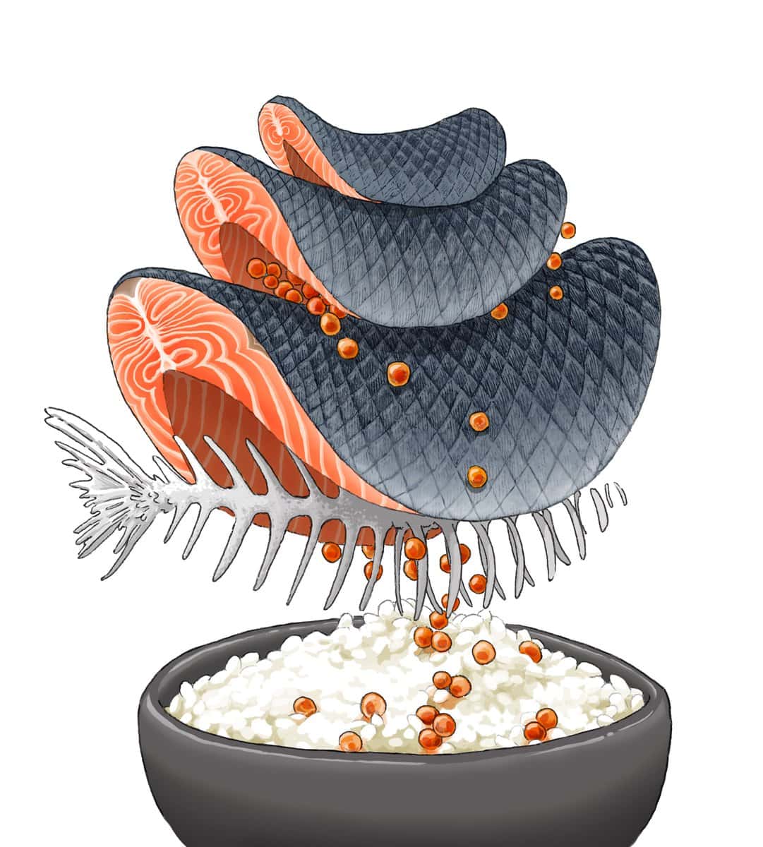salmon roe falls out of slabs of salmon and on to white rice