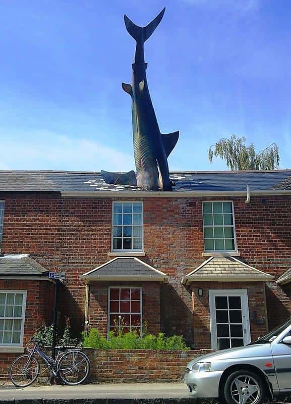 10. The Shark, Oxford, UK