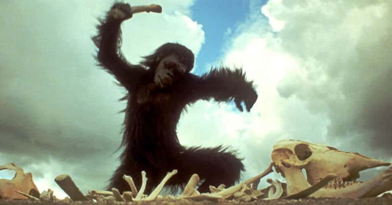 A still from 2001 : A Space Odyssey (Stanley Kubrick, 1968)