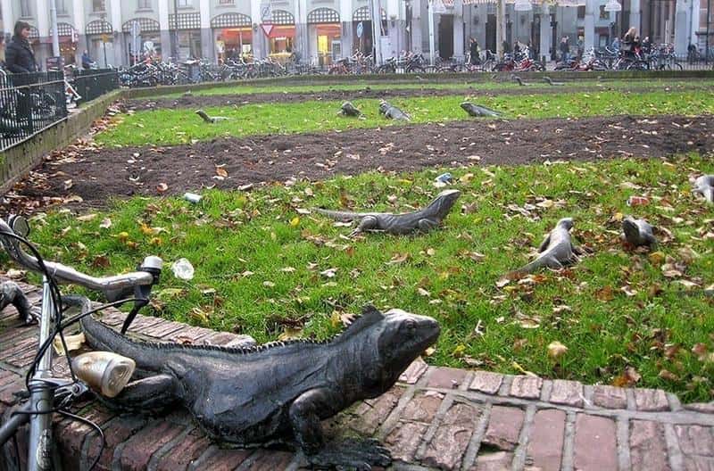 2. Iguana Park, Amsterdam, The Netherlands