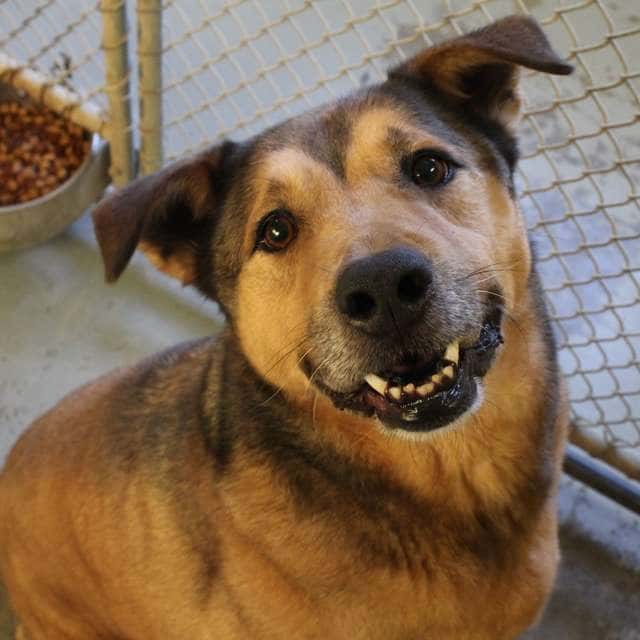 Humane Society of Preble County