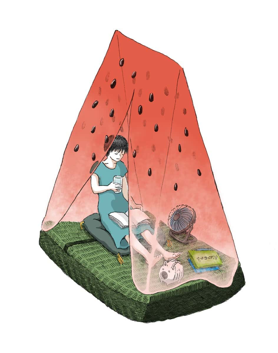 a slice of watermelon
