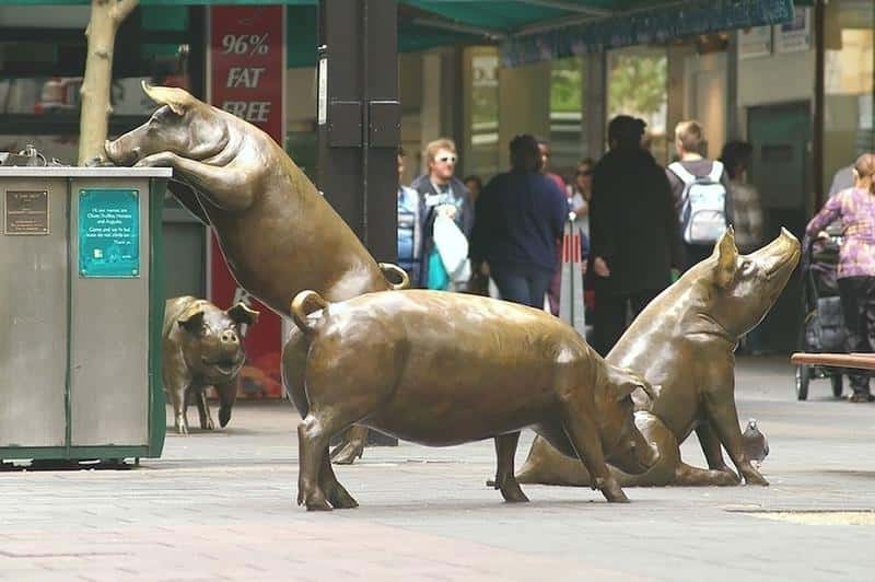 8. A Day Out, Adelaide, Australia