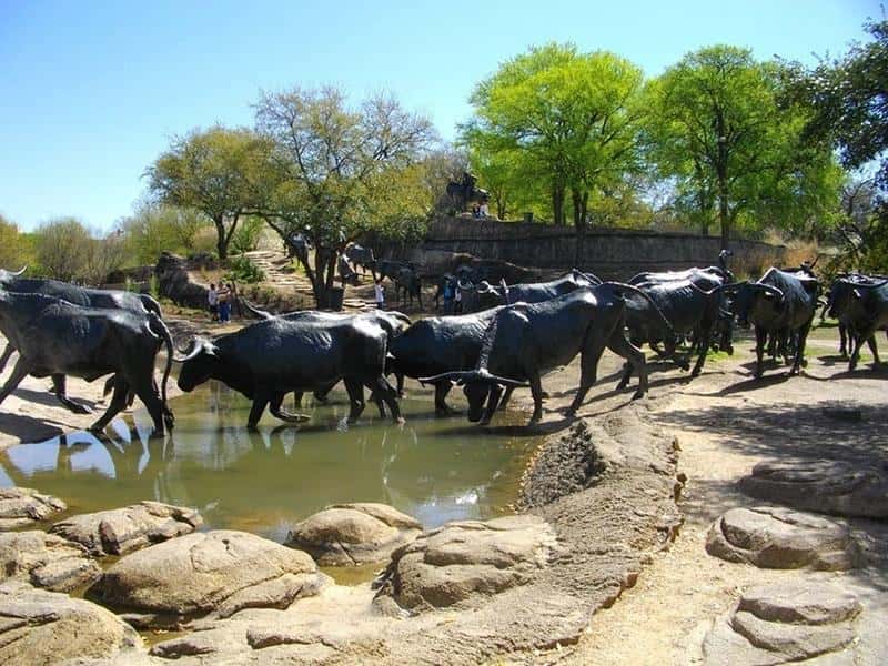 23. Cattle Drive, Dallas, Texas, USA