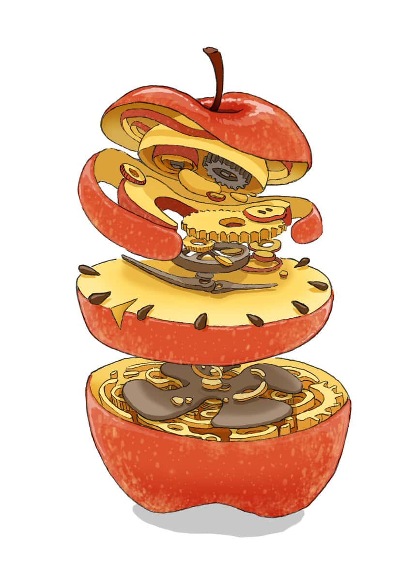 the cross-sections of this apple reveal the inter-workings of a clock
