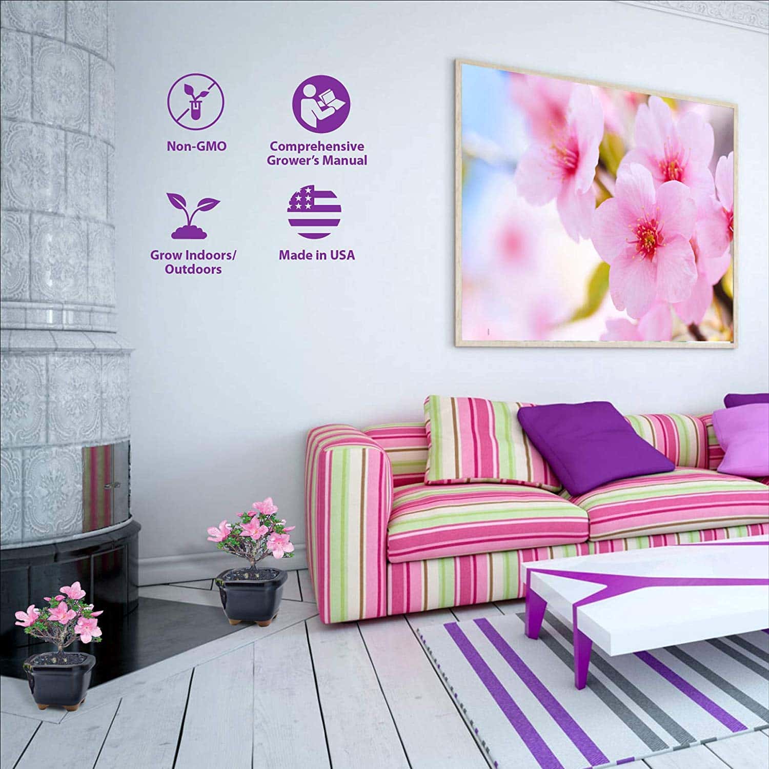 You Can Now Grow Your Own Cherry Blossom Bonsai Tree With This Cherry Blossom Bonsai Tree