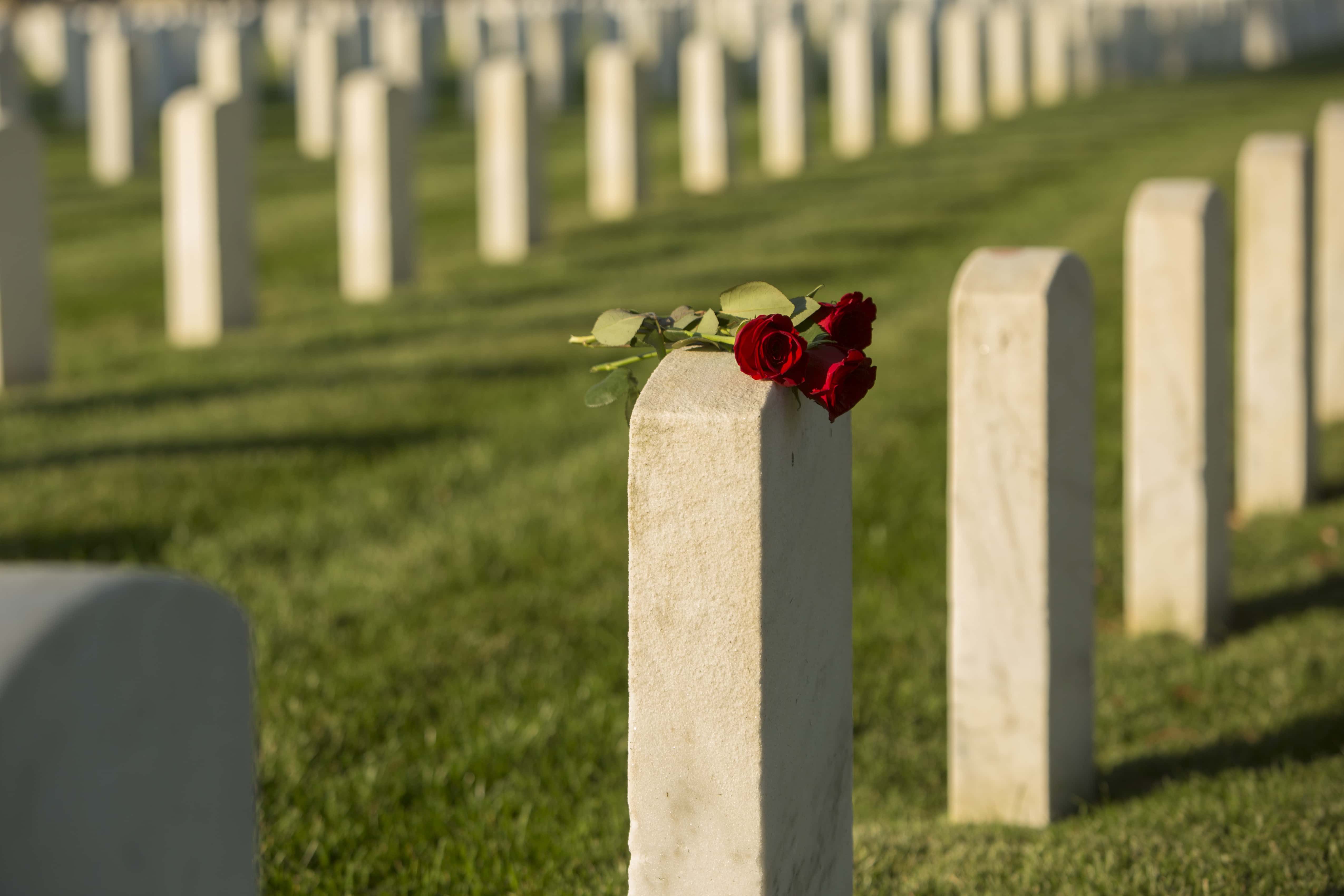 Grave. Шесть футов могила. Могила макро фото. Фотосебежкладбищемогила6.