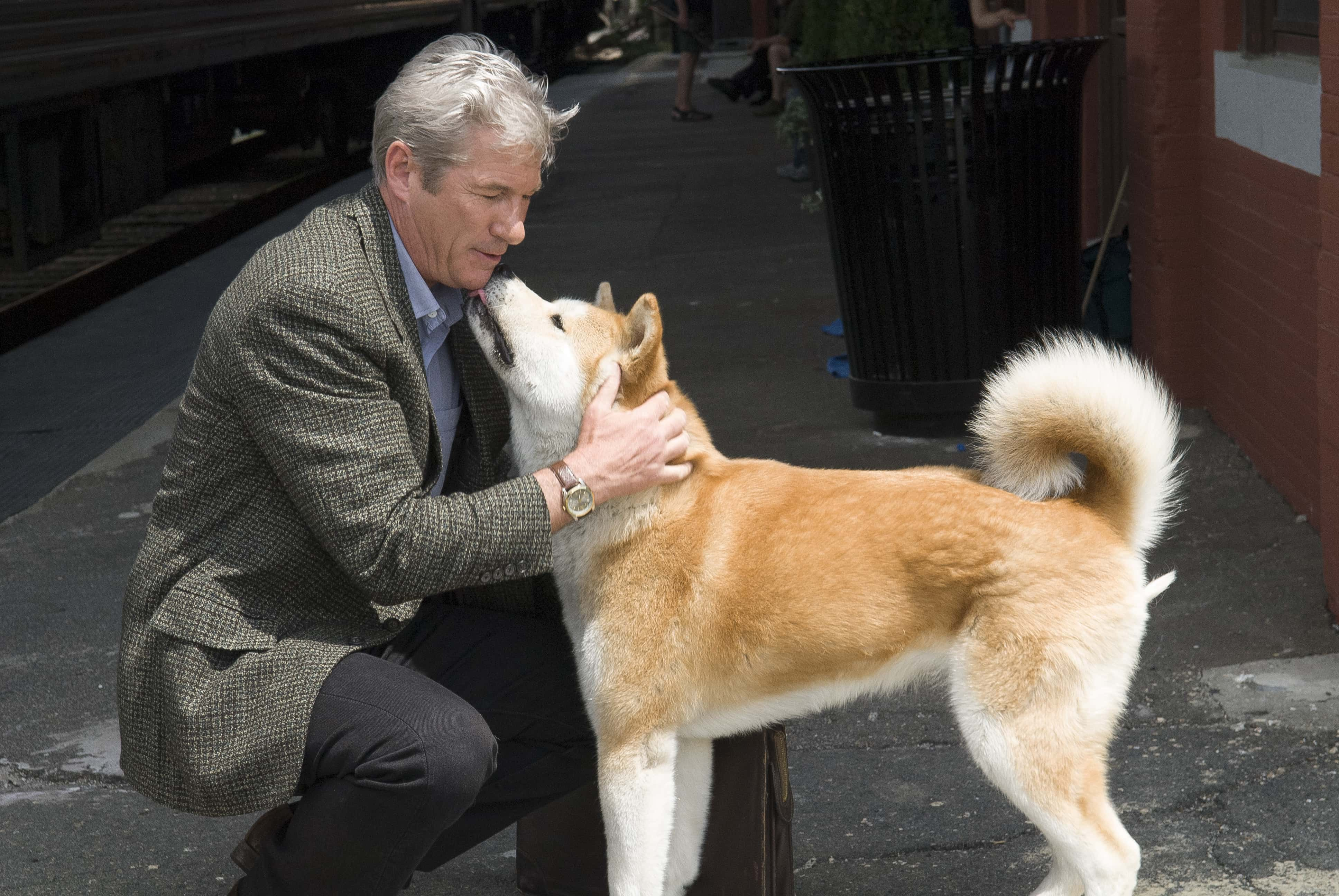 Image Source: Richard Gere actor and producer of the film Hachi: A Dog's Tale, chats with Hachi the dog in Providence, Rhode Island on June 3, 2008. Lasse Hallstrom is the director. (Photo by Mikki Ansin/Getty Images)